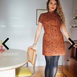 Birds of North America Spadebill Dress - Burnt Kubota